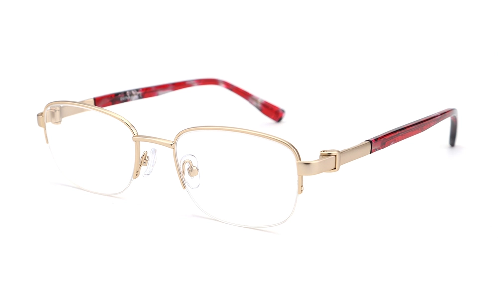 Очки для зрения DONNA DN 3155 C5