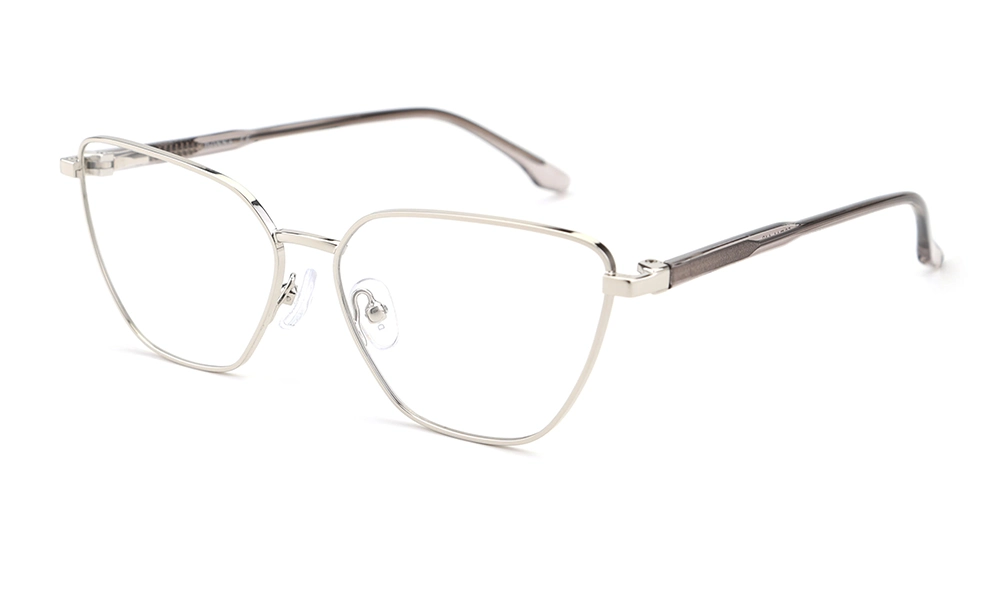 Очки для зрения DONNA DN3165 C5